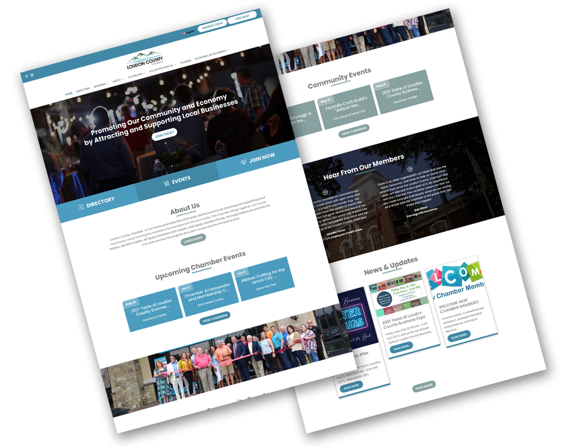 Website designs